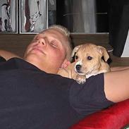 Blanding af racer Bosco