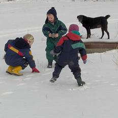 Blanding af racer Bølle