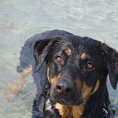 Blanding af racer Chanel