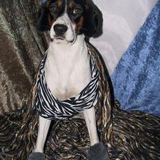 Blanding af racer B. B. King