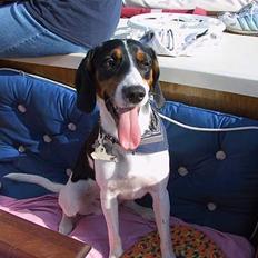 Blanding af racer B. B. King