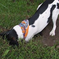 Blanding af racer B. B. King