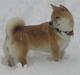 Shiba Shiko