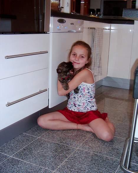 Cairn terrier mille - her er mille og min lille søser billede 10