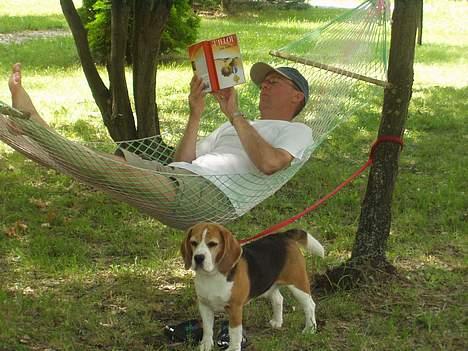 Beagle Berta <'3 - "Du skal IKKE komme tæt på MIN far, det kan jeg altså godt sige dig" billede 11