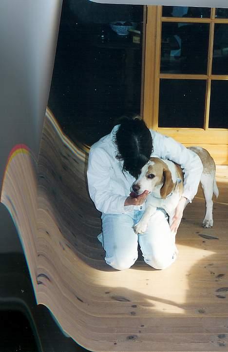 Beagle Max  - Den dag der skulle siges farvel, glemmer det aldrig  .. billede 4