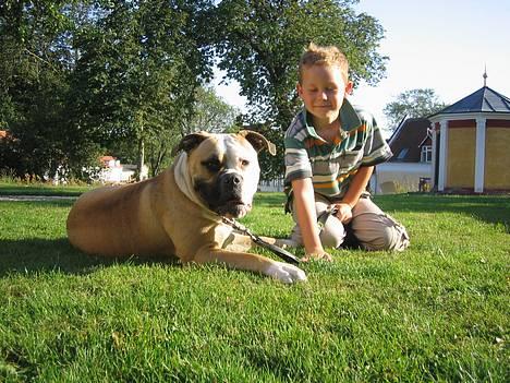 Amerikansk bulldog Østergaard's Chanti +Død  - D. 8/8 Mig og onkel Ebbe, som jeg ELSKER og lege med billede 10