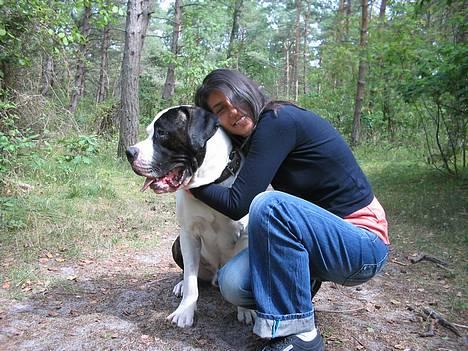 Blanding af racer Carlos *død* - Hunden og pigen billede 7