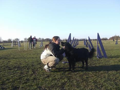 Blanding af racer Zeus  - NYT 10 April.. Hans 3 gang til agility billede 20