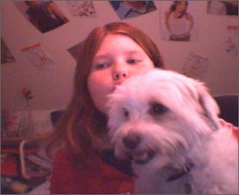 Coton de tulear Bella Banini - Mig og Bella Gamlet:( billede 1