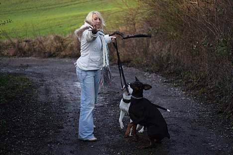 Dobermann Asja (Død) R.I.P - Jae lad mig se at komme afsted, pas på pinden billede 4