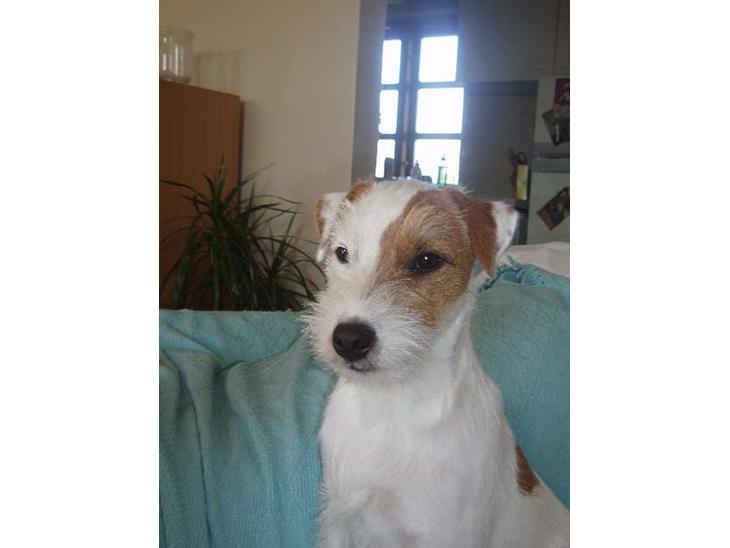 {{currentPhoto.altText}} billede {{currentPhoto.number}}