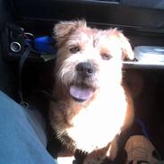 Blanding af racer Lunte