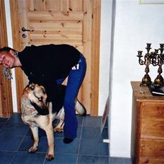 Schæferhund Tiki R.I.P.
