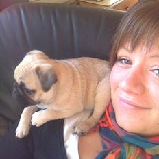Mops Kahlua