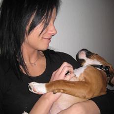 Amerikansk staffordshire terrier Hopé