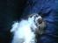 Cavalier king charles spaniel Buster R.I.P. 18/01-11