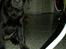 Labrador retriever Cantona (Canto) <3 :b - Han er meget opslugt af kamararets blitz (: