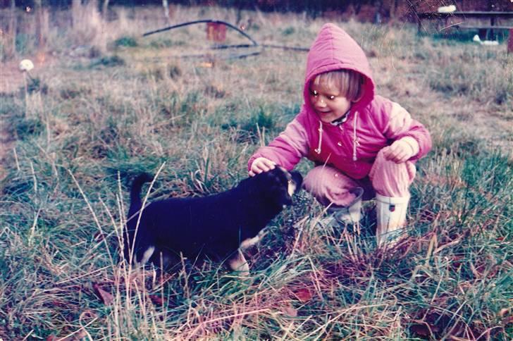 Schæferhund Kiki <3 <3 R.I.P. - Min bror har haft fat i billedet... billede 8