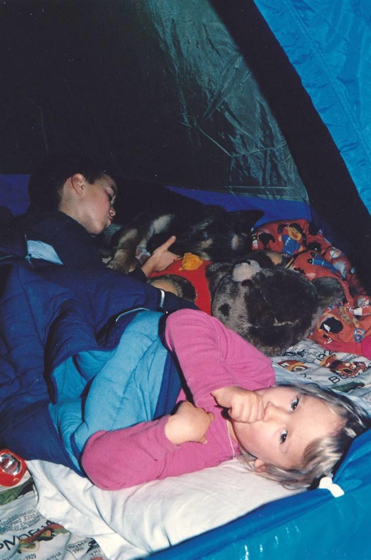 Schæferhund Kiki <3 <3 R.I.P. - Telt-hygge billede 12