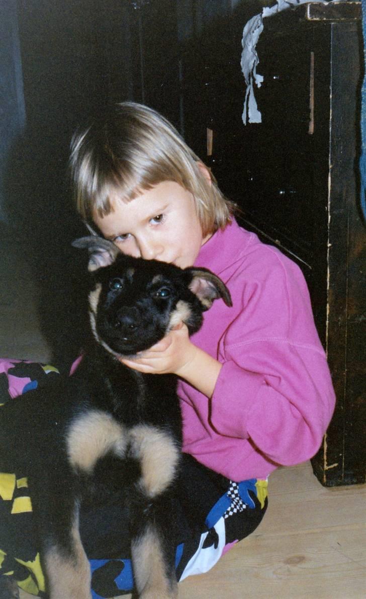 Schæferhund Kiki <3 <3 R.I.P. - Smukke som vi beholdt fra 2. kuld hvalpe billede 13