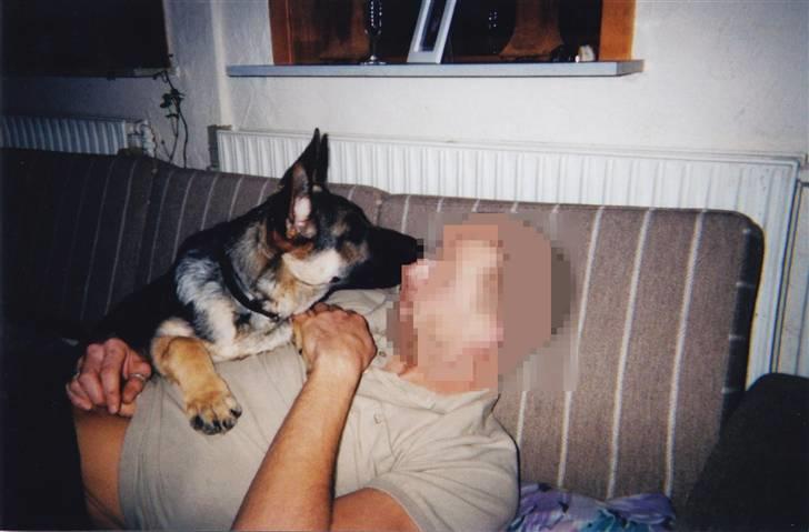 Schæferhund Tiki R.I.P. billede 19