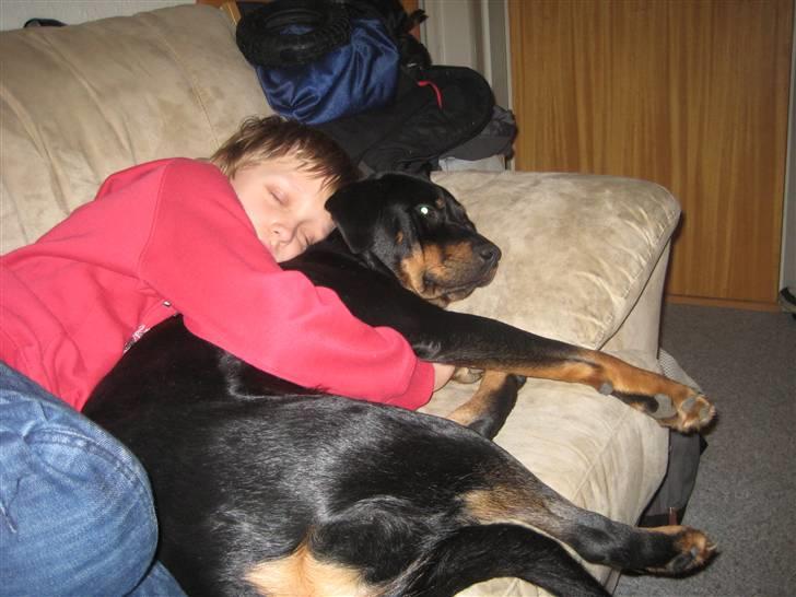 Blanding af racer perle billede 3