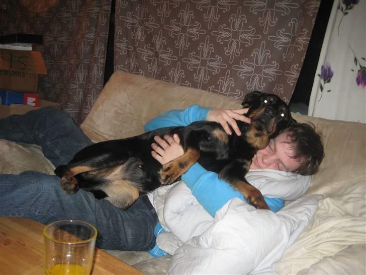 Blanding af racer perle billede 5