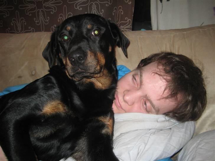 Blanding af racer perle billede 6