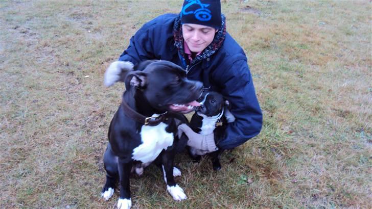 Blanding af racer muss billede 11