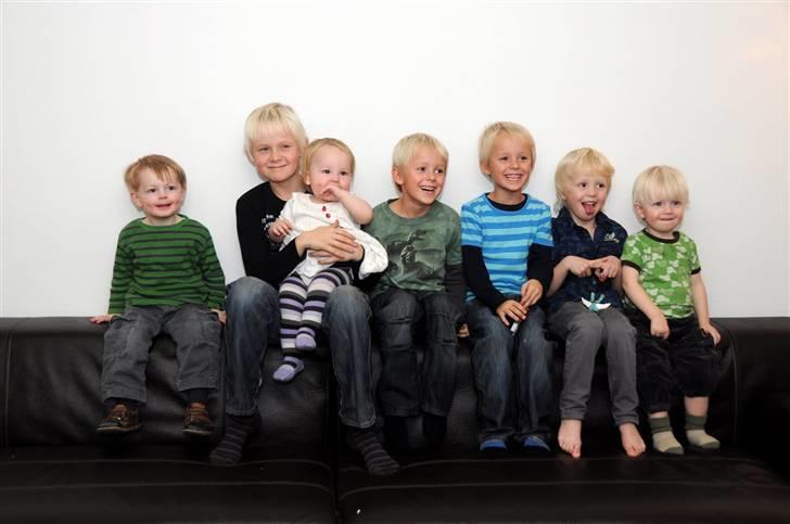 Newfoundlænder Julie (Himmelhund) - Alle mine skønne børnebørn.....! billede 12