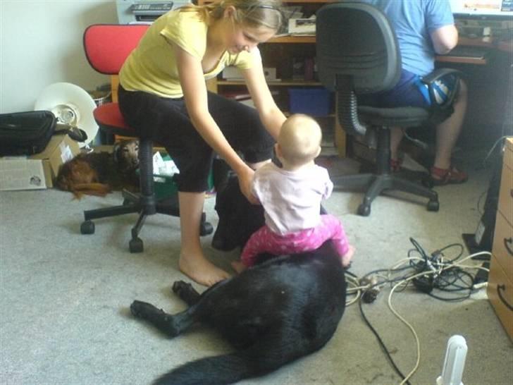 Blanding af racer konjak R.I.P - elsker børn :) billede 14