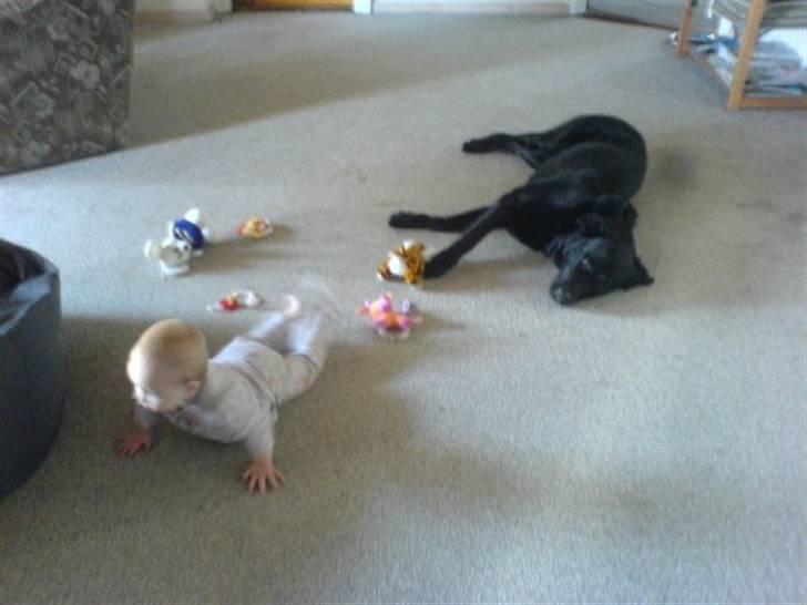 Blanding af racer konjak R.I.P - jeg elsker børn billede 16