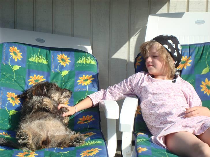 Gravhund Chilli.. Skáth<33 billede 3