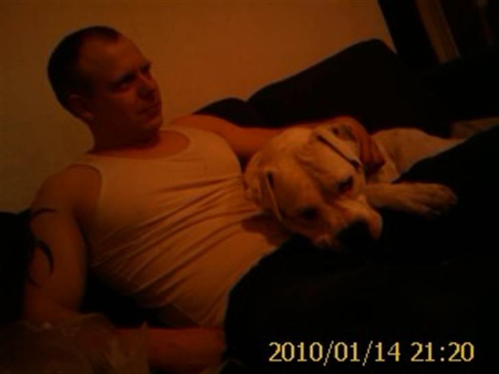 Amerikansk bulldog Kettner`s Fiona - Råhygge - 14. januar  billede 14