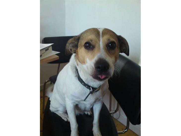 {{currentPhoto.altText}} billede {{currentPhoto.number}}