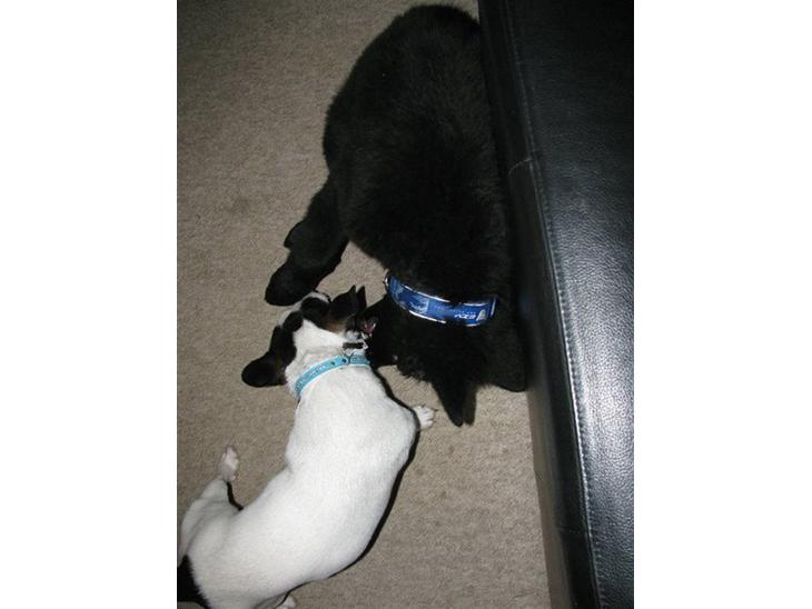 {{currentPhoto.altText}} billede {{currentPhoto.number}}