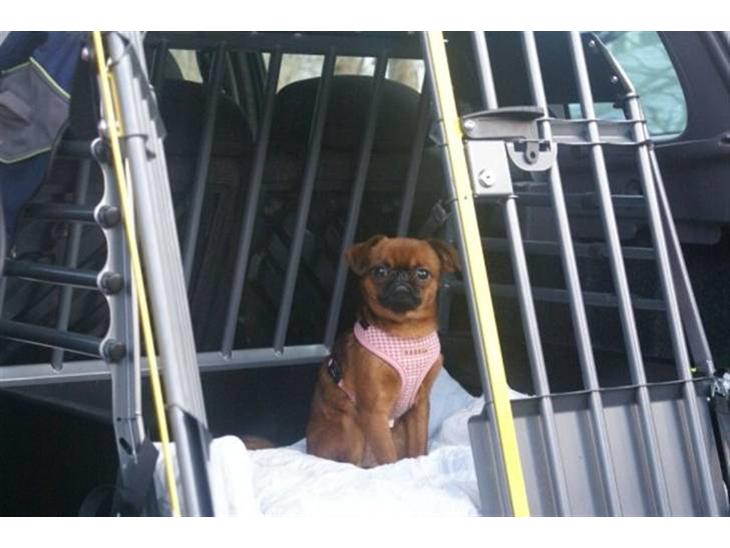 {{currentPhoto.altText}} billede {{currentPhoto.number}}