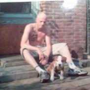 Amerikansk staffordshire terrier )¤( Tiko )¤(