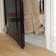 Blanding af racer Eddie