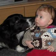 Blanding af racer Sasha