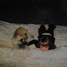 Cairn terrier O´SHIP´s OMAMORI* ~RIP~