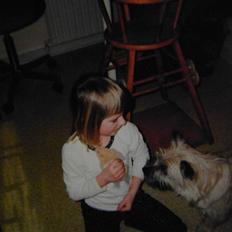 Cairn terrier O´SHIP´s OMAMORI* ~RIP~