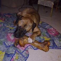 Blanding af racer Akila