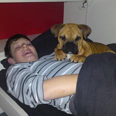 Blanding af racer Siff