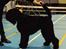 Sort russisk terrier hasse