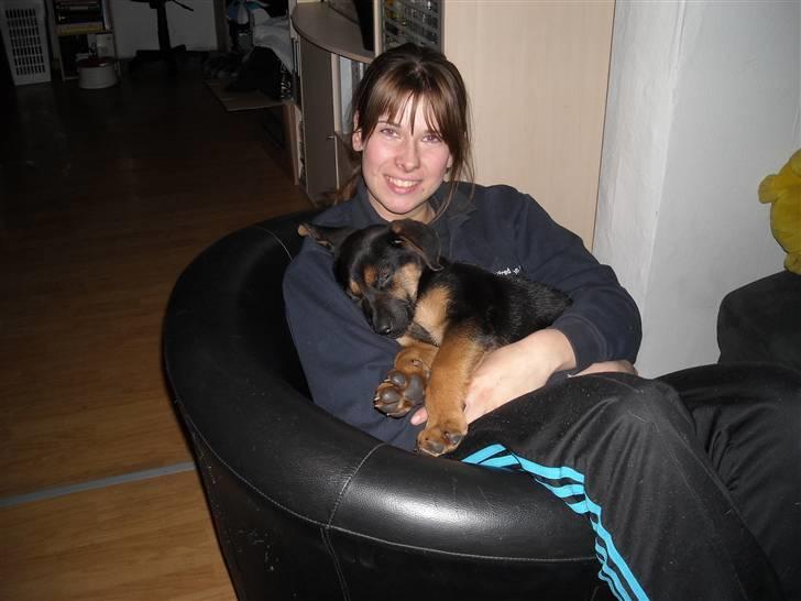 Blanding af racer Jacko billede 14