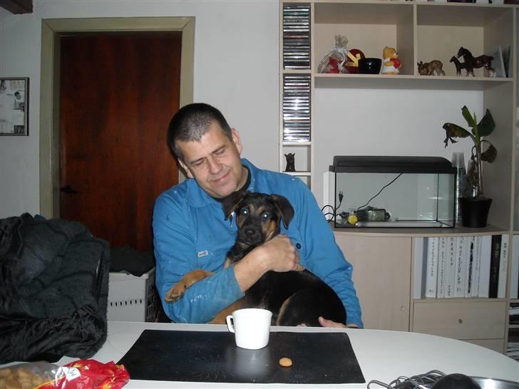 Blanding af racer Jacko billede 16