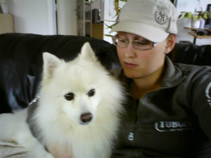 Japansk spids pustie "pjuske" "død" - mig og min hund :D billede 1