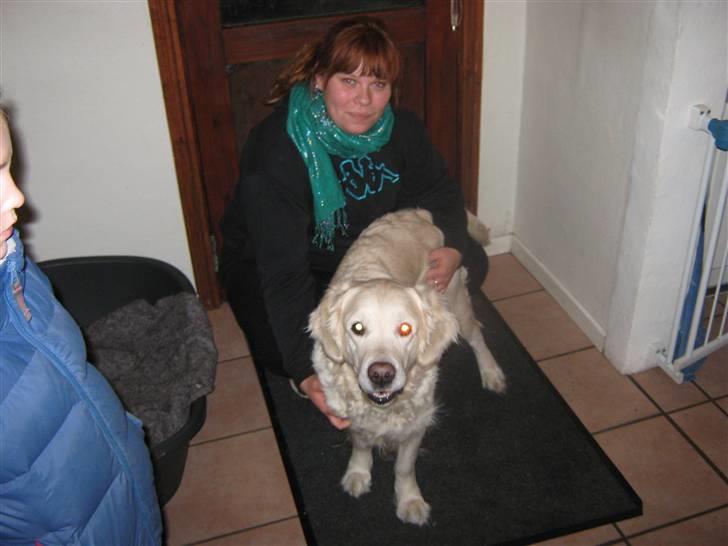 Golden retriever Tøsen - Da vi hentede hende.. Kærlighed ved første blik.. :0) billede 3